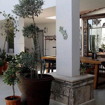 Otel No 20 Marina - Adult Only 3*